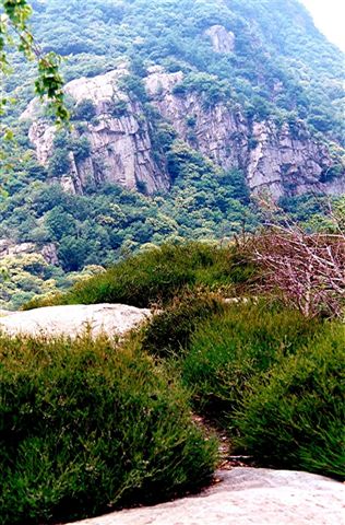 Die Felsen von Arcegno, heute dicht bewaldet, damals noch weitgehend kahl.